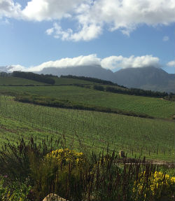 Big Country Biodynamics in South Africa